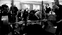 UPC DM 2014 225kg