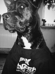 arne