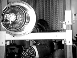 280kg